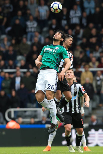 球爱好者的 球爱好者的