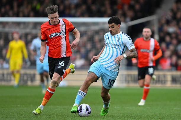 模式成为博 模式成为博