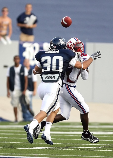 纪人的电话 纪人的电话